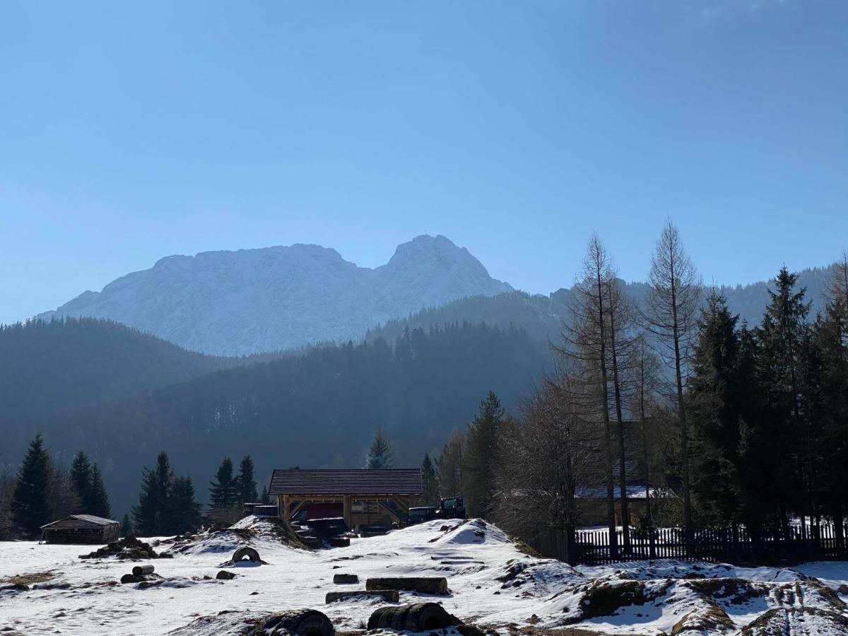 Viva Maria -Sky Moszczak Apartments&Spa Zakopane Eksteriør bilde